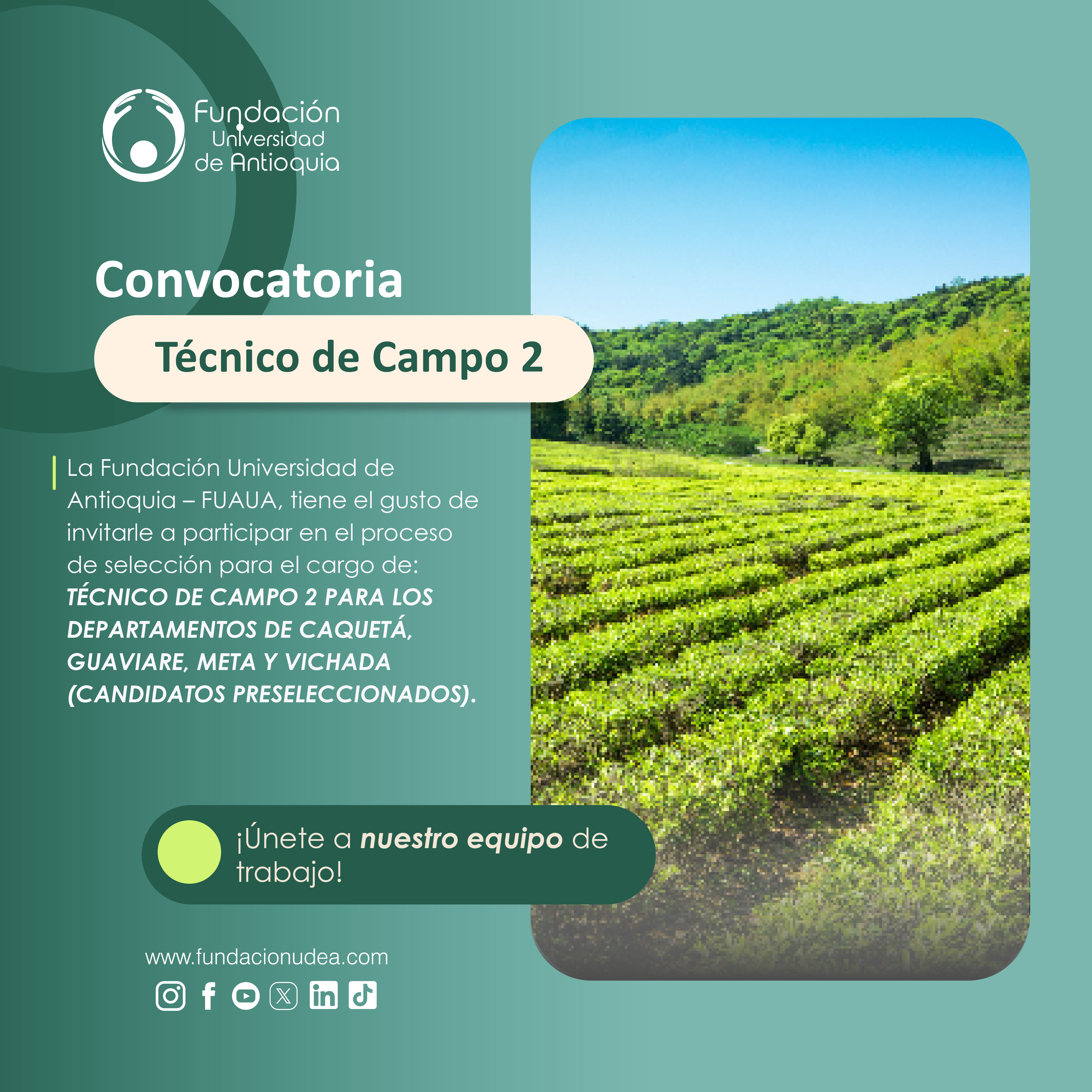 noticia